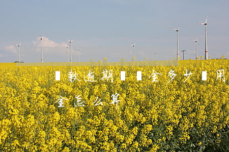 貸款逾期違約金多少費用(銀行貸款逾期違約金怎么算)