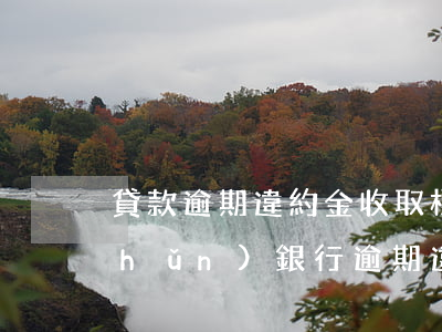 貸款逾期違約金收取標(biāo)準(zhǔn)(銀行逾期違約金的收取標(biāo)準(zhǔn))