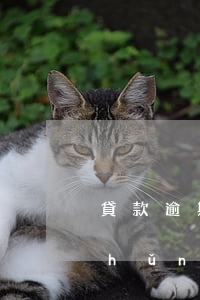 貸款逾期違約金賠償標(biāo)準(zhǔn)(欠款逾期違約金正常是多少)