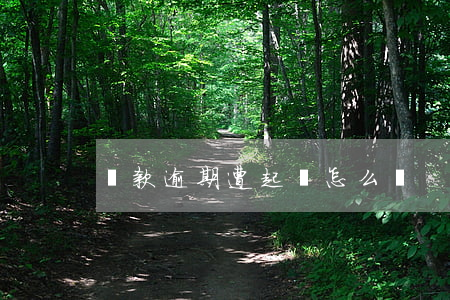 貸款逾期遭起訴怎么辦