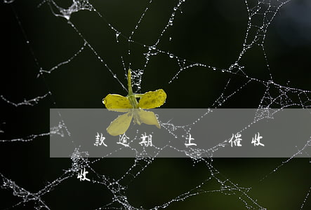 貸款逾期還上門催收嗎(貸款逾期多久上門催收)