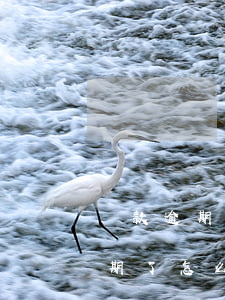 貸款逾期還不上情況說明(貸款未能按時還 逾期了怎么辦)