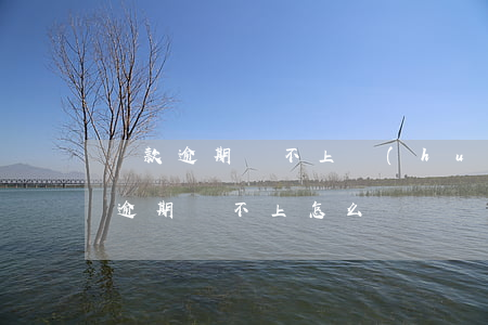 貸款逾期還不上會(huì)怎樣(貸款如果逾期還不上怎么辦)