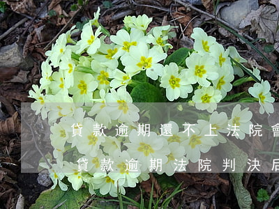 貸款逾期還不上法院會(huì)怎么判決（貸款逾期法院判決后到期未還）