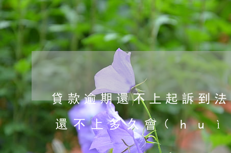 貸款逾期還不上起訴到法院的后果(貸款到期還不上多久會(huì)被起訴)