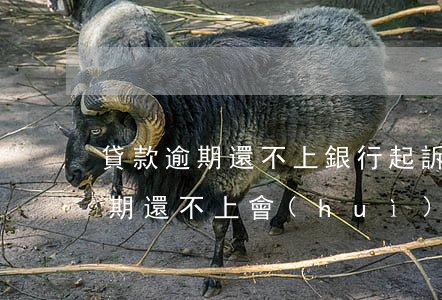 貸款逾期還不上銀行起訴怎么辦（佛山銀行逾期還不上會(huì)起訴嗎）
