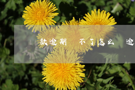 貸款逾期還不了怎么辦（逾期貸款還不了咋辦）