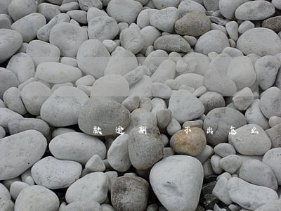 貸款逾期還不出怎么辦(逾期實在還不上怎么辦)