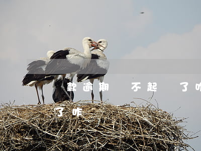 貸款逾期還不起錢了咋辦(貸款逾期還不起錢了咋辦)