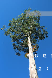 貸款逾期還了利息(貸款逾期還了利息太高怎么協(xié)商)