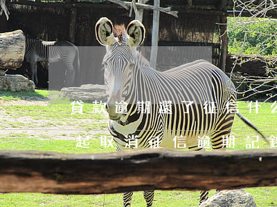 貸款逾期還了征信什么時候消除-5月1日起取消征信逾期記錄