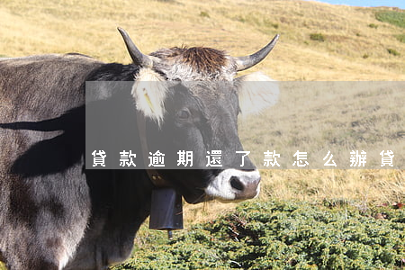 貸款逾期還了款怎么辦(貸款有逾期怎么辦)