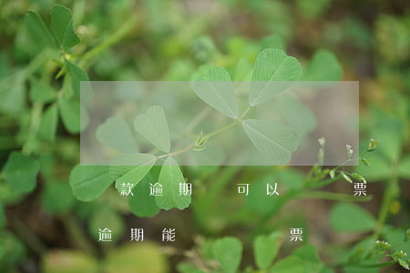 貸款逾期還可以買機票嗎(網(wǎng)貸逾期能買飛機票嗎)
