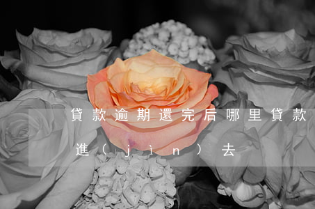 貸款逾期還完后哪里貸款(貸款逾期了怎么還進(jìn)去)
