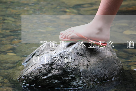 貸款逾期還本金怎么還(逾期還了本金不還利息怎么算)