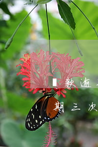 貸款逾期還款7次買房(房貸連續(xù)逾期三次但是都還了)