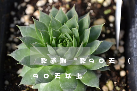 貸款逾期還款90天內(nèi)(逾期貸款90天以上)
