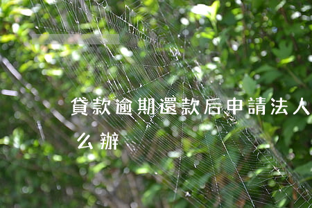 貸款逾期還款后申請法人(貸款還款逾期了怎么辦)