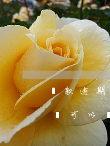 貸款逾期還款后能正常嗎(貸款逾期還了以后還可以貸款嗎)