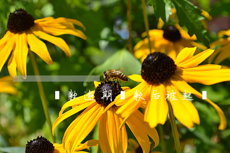 貸款逾期還款后被起訴
