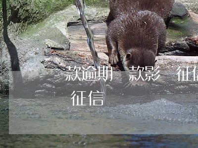 貸款逾期還款影響征信嗎(逾期還款之后還影響征信嗎)