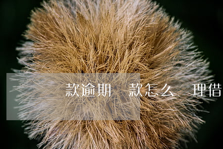 貸款逾期還款怎么處理(借貸逾期怎么處理)