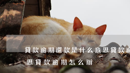 貸款逾期還款是什么意思(貸款逾期是什么意思,貸款逾期怎么辦?)