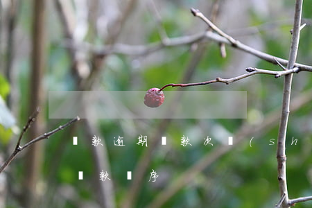 貸款逾期還款次數(shù)英文(逾期貸款還款順序)
