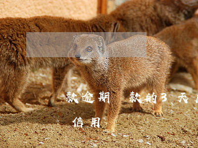 貸款逾期還款的3天后果(逾期還貸款三天影響信用嗎)
