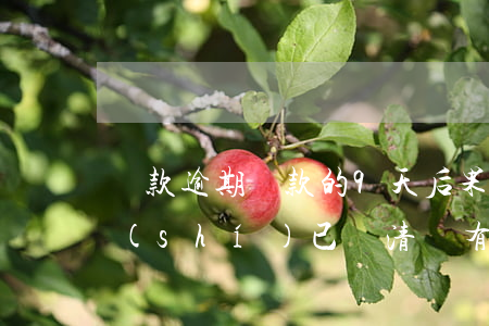 貸款逾期還款的9天后果(貸款逾期七天及時(shí)已還清會有后果)