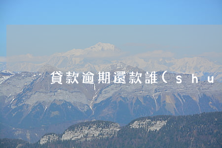 貸款逾期還款誰(shuí)起訴