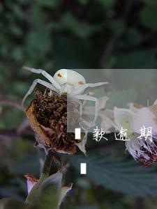 貸款逾期還能再借款嗎(房貸逾期還能再貸款嗎) 貸款逾期還能再借款嗎(房貸逾期還能再貸款嗎)