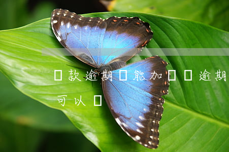 貸款逾期還能加貸嗎(逾期貸款還清了,再貸款可以嗎?)