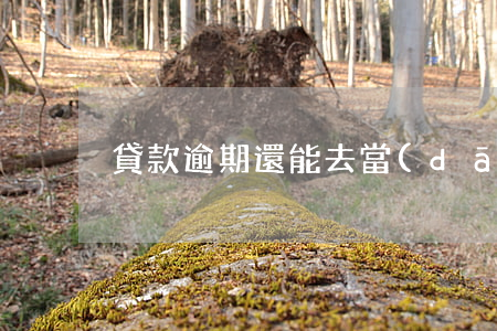 貸款逾期還能去當(dāng)兵嗎