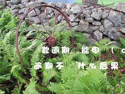 貸款逾期還能申請(qǐng)快貸嗎(快貸逾期不還什么后果)