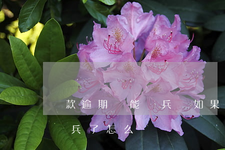 貸款逾期還能當兵嗎(如果你還有貸款可是去當兵了怎么辦)