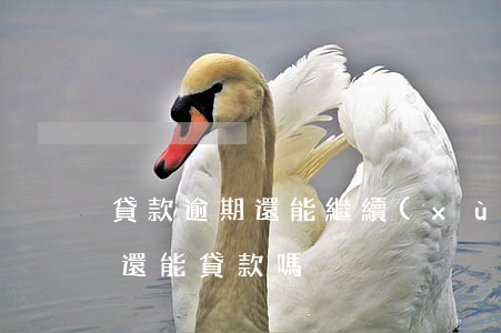 貸款逾期還能繼續(xù)貸款嗎(貸款逾期還能貸款嗎?)