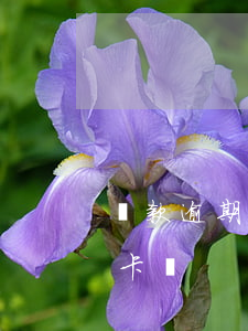 貸款逾期還能辦信用卡 貸款逾期過能辦信用卡嗎