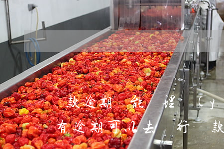 貸款逾期還能辦理業(yè)務(wù)嗎(有逾期可以去銀行貸款嗎)