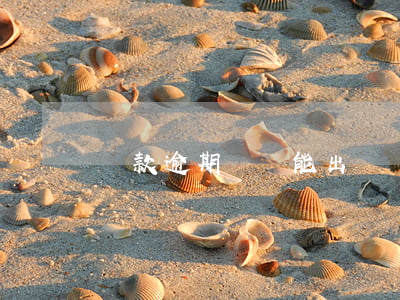 貸款逾期還請能出國嗎(有逾期可以出國打工嗎)