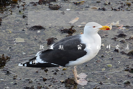 貸款逾期郵箱收到移交法院(收到貸款逾期郵件)