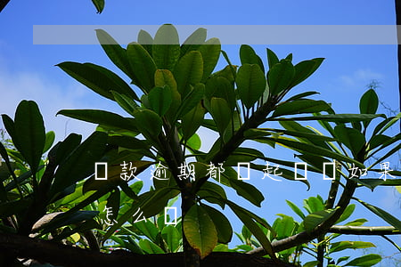 貸款逾期都會起訴嗎(如果貸款逾期被起訴會怎么樣)