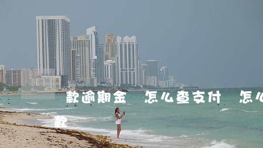 貸款逾期金額怎么查(支付寶怎么查看逾期貸款)