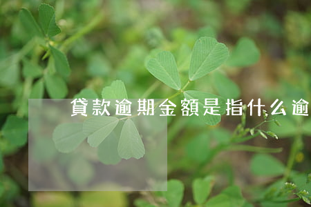 貸款逾期金額是指什么(逾期還款是什么意思)