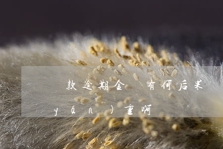 貸款逾期金額有何后果(貸款逾期多久算嚴(yán)重啊)