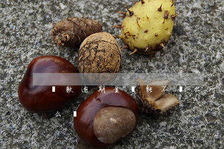 貸款逾期金額能不給么(所有貸款都逾期了怎么辦)