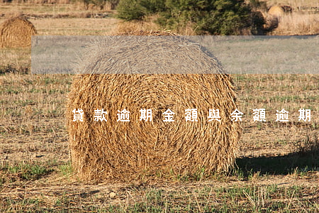 貸款逾期金額與余額(逾期余額和逾期金額)