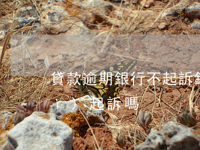 貸款逾期銀行不起訴(銀行貸款逾期會(huì)起訴嗎)