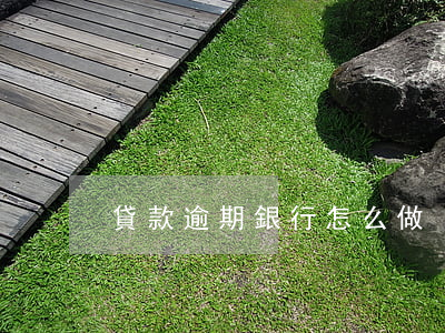 貸款逾期銀行怎么做