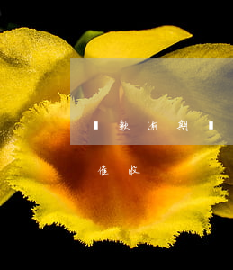 貸款逾期銀行會(huì)催多久(貸款逾期催收)